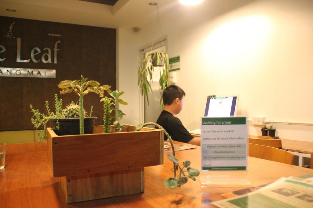 The Leaf Chiangmai Service Apartment Chiang Mai Eksteriør bilde